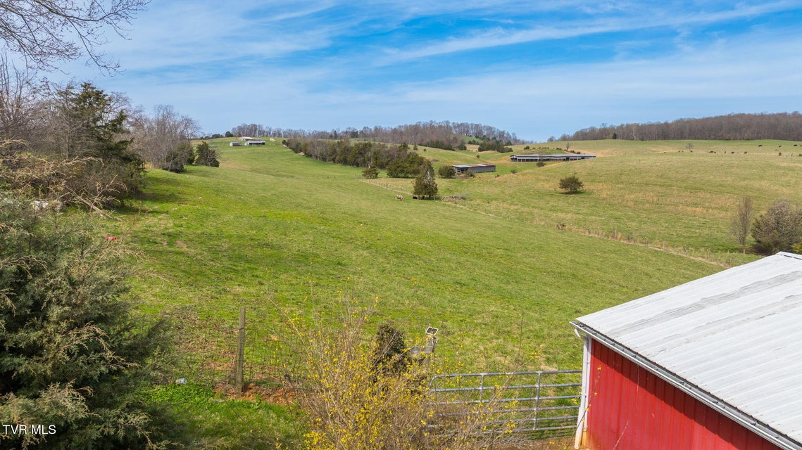 Photo #43: 1005 Old Snapps Ferry Rd Road