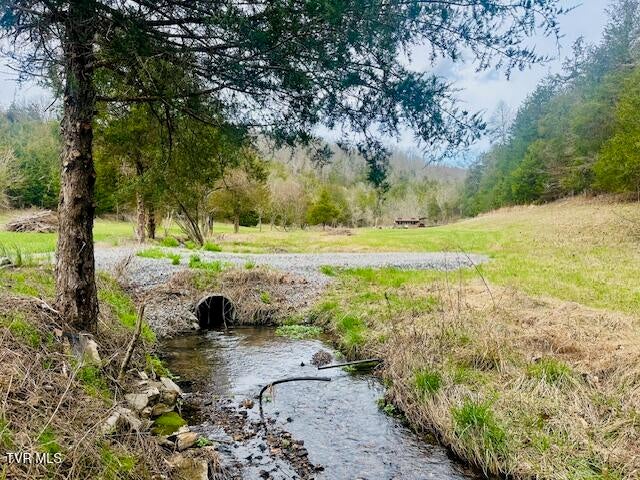 Photo #8: 8272 Anglers Way Road