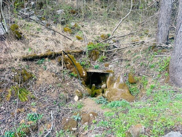 Photo #26: 8272 Anglers Way Road