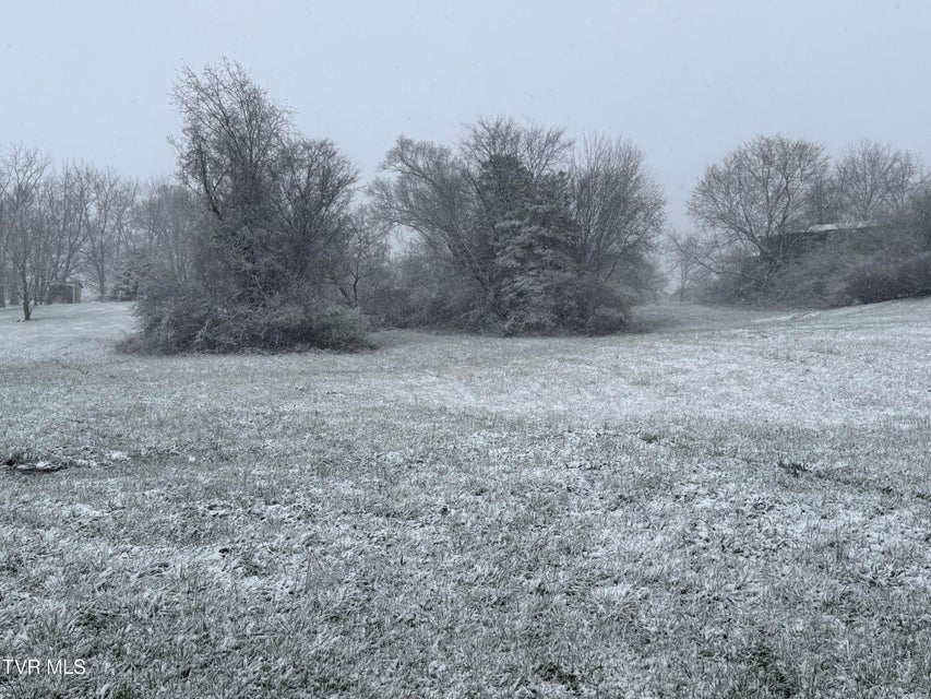 Photo #7: Lot 11 Jimmy Johnston Road