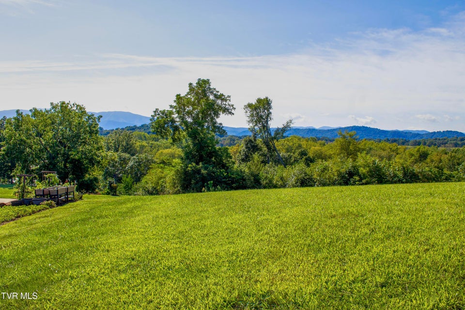 Photo #5: 00 River View Drive