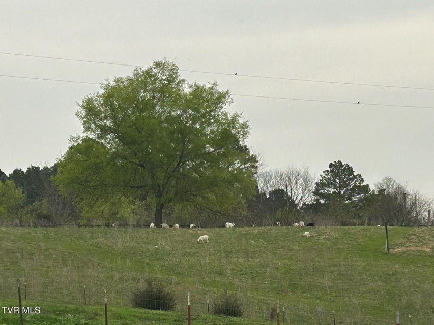 Photo #10: 55 Little Chuckey Cutoff 