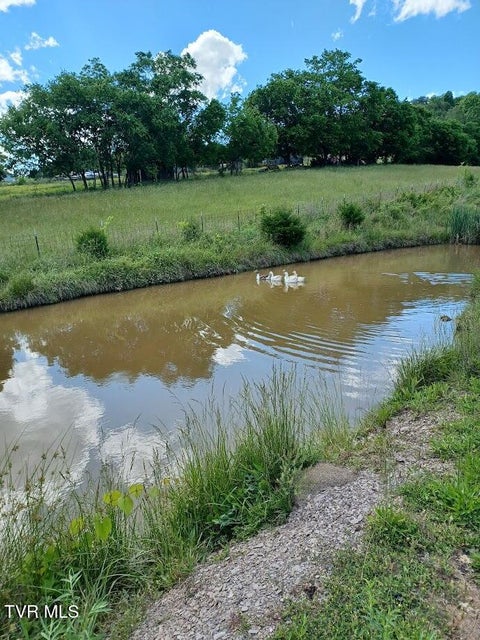 Photo #18: 55 Little Chuckey Cutoff 