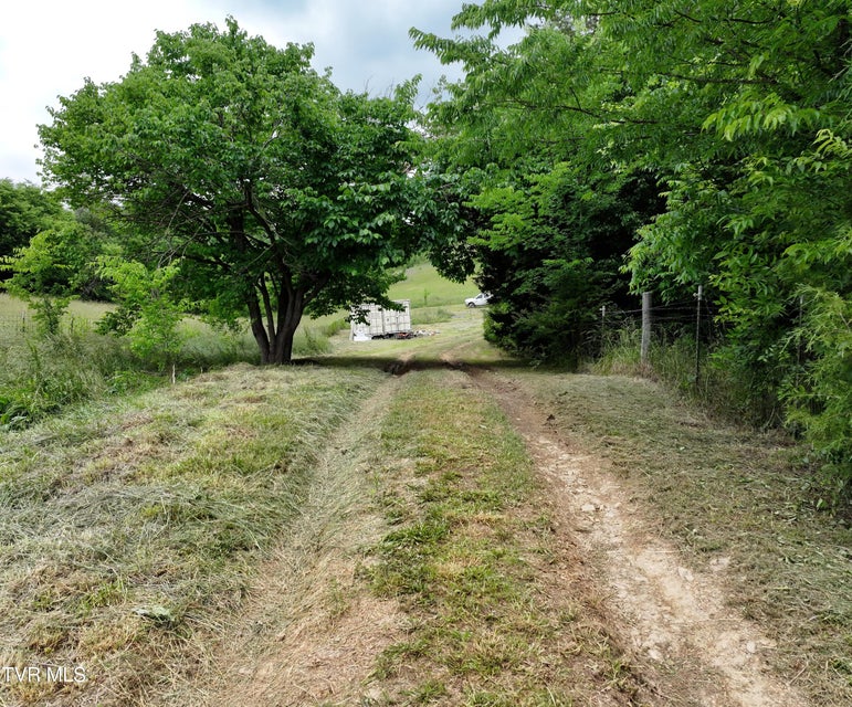 Photo #19: 55 Little Chuckey Cutoff 