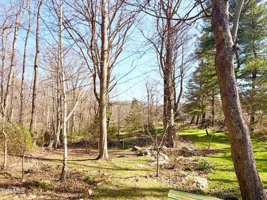 Photo #52: 121 Beverly Avenue