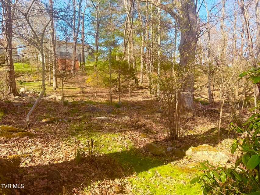 Photo #54: 121 Beverly Avenue