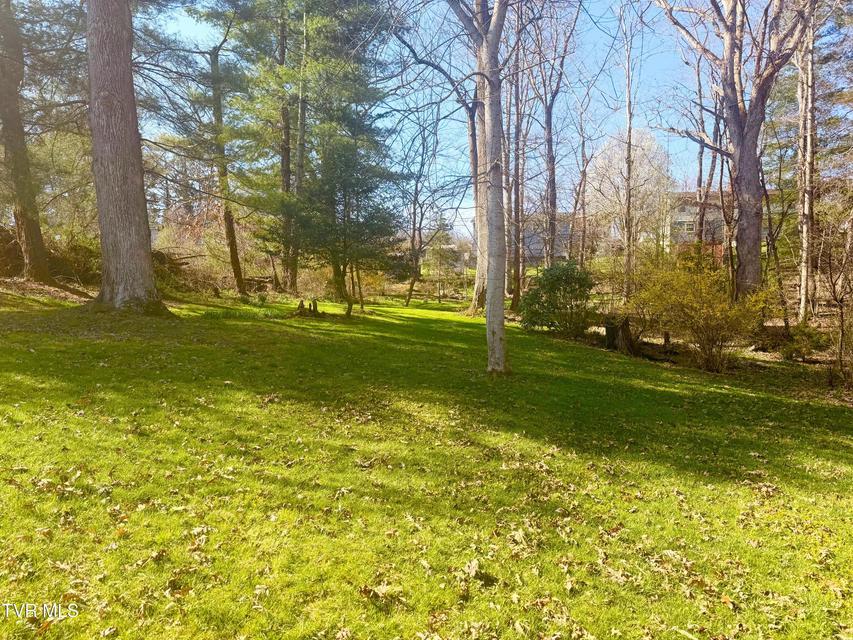 Photo #68: 121 Beverly Avenue