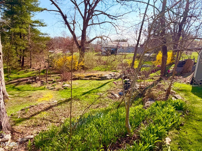 Photo #48: 121 Beverly Avenue