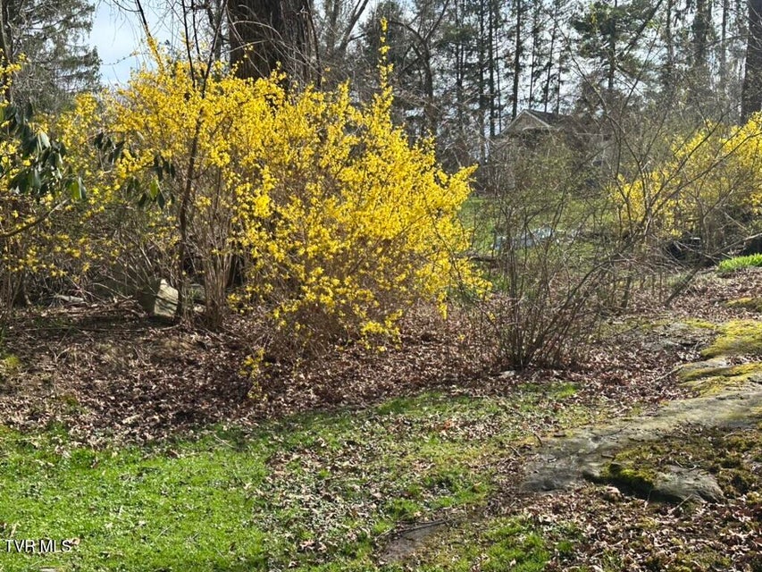 Photo #62: 121 Beverly Avenue