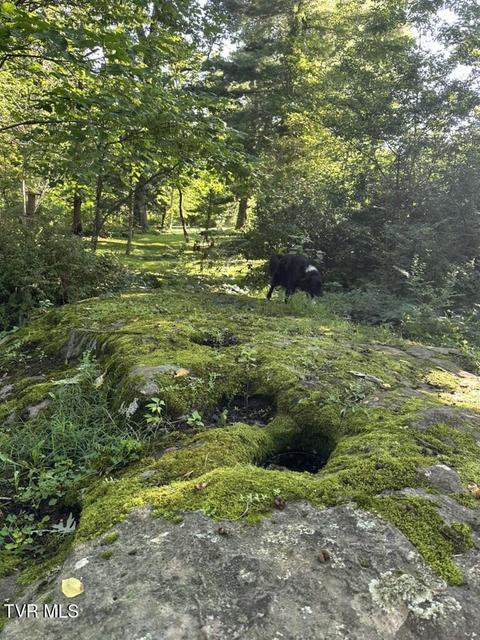 Photo #63: 121 Beverly Avenue