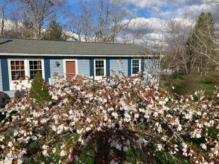 Photo #65: 121 Beverly Avenue