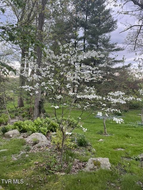 Photo #67: 121 Beverly Avenue