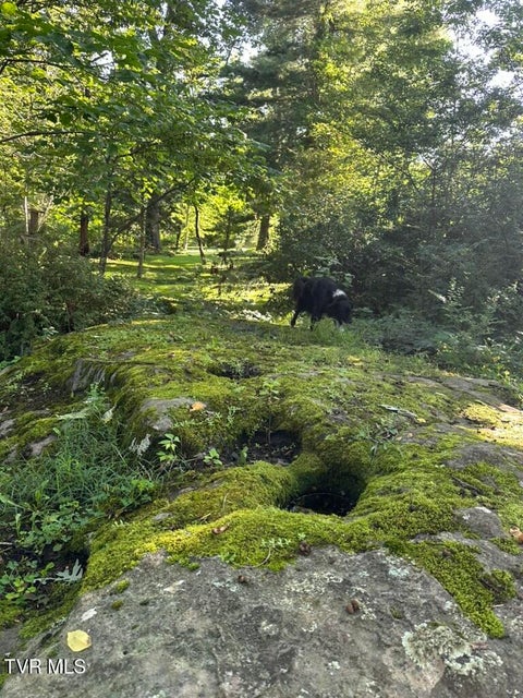 Photo #71: 121 Beverly Avenue