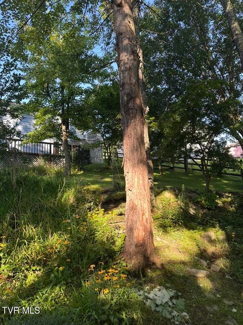 Photo #73: 121 Beverly Avenue