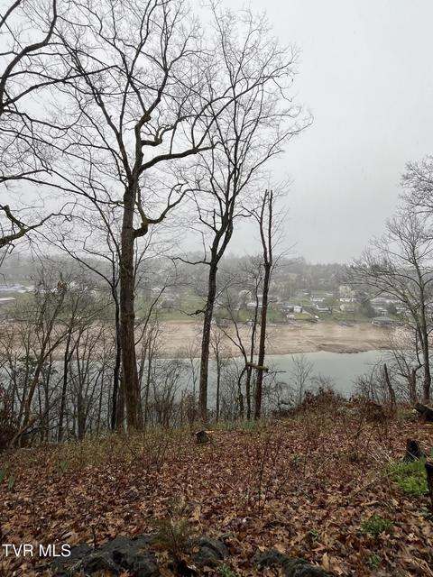 Photo #30: 348 River Road