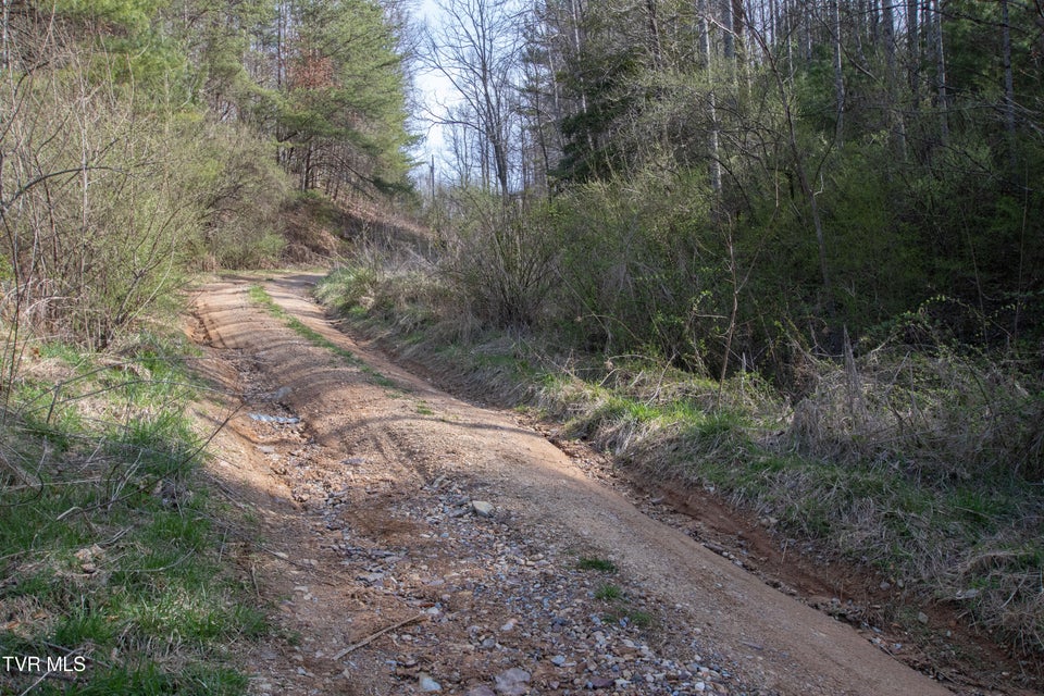 Photo #41: 331 Bear Cage Road