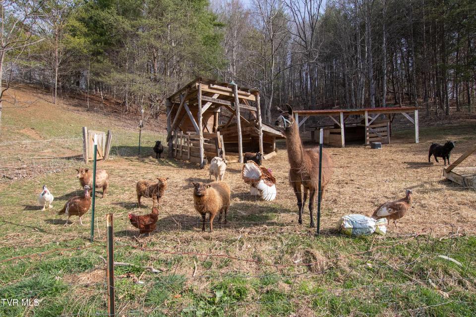 Photo #63: 331 Bear Cage Road