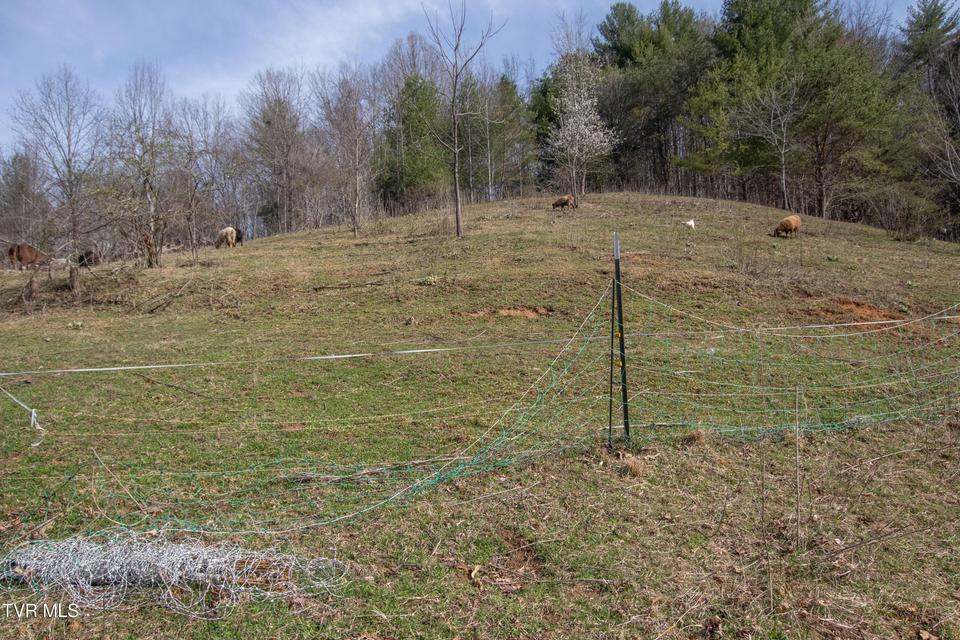 Photo #65: 331 Bear Cage Road