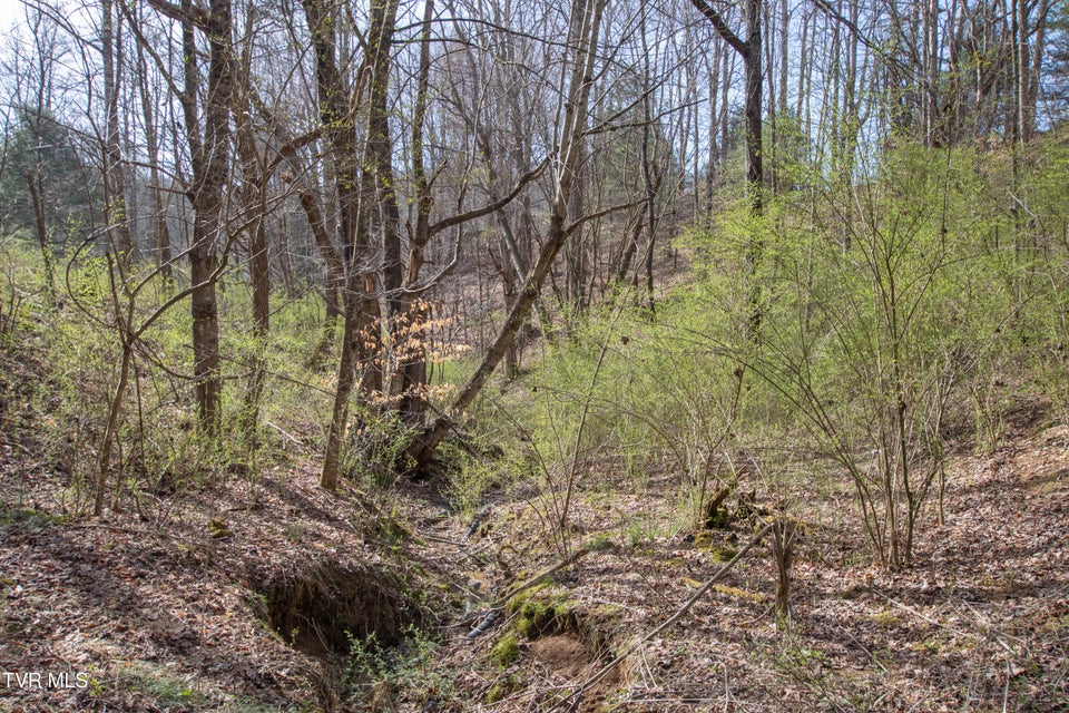 Photo #66: 331 Bear Cage Road