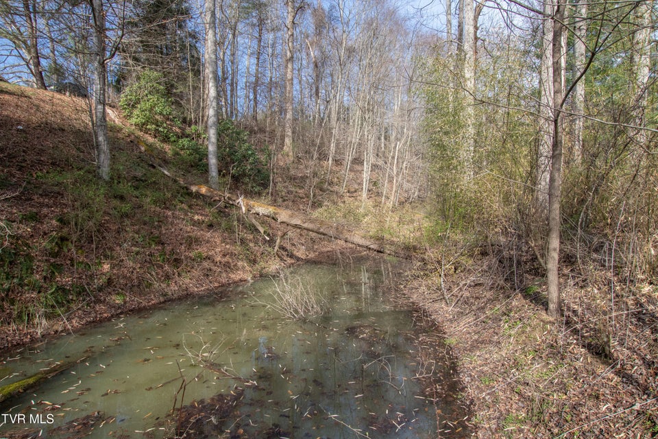 Photo #69: 331 Bear Cage Road