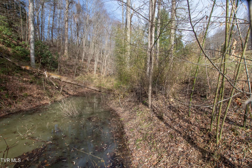 Photo #70: 331 Bear Cage Road