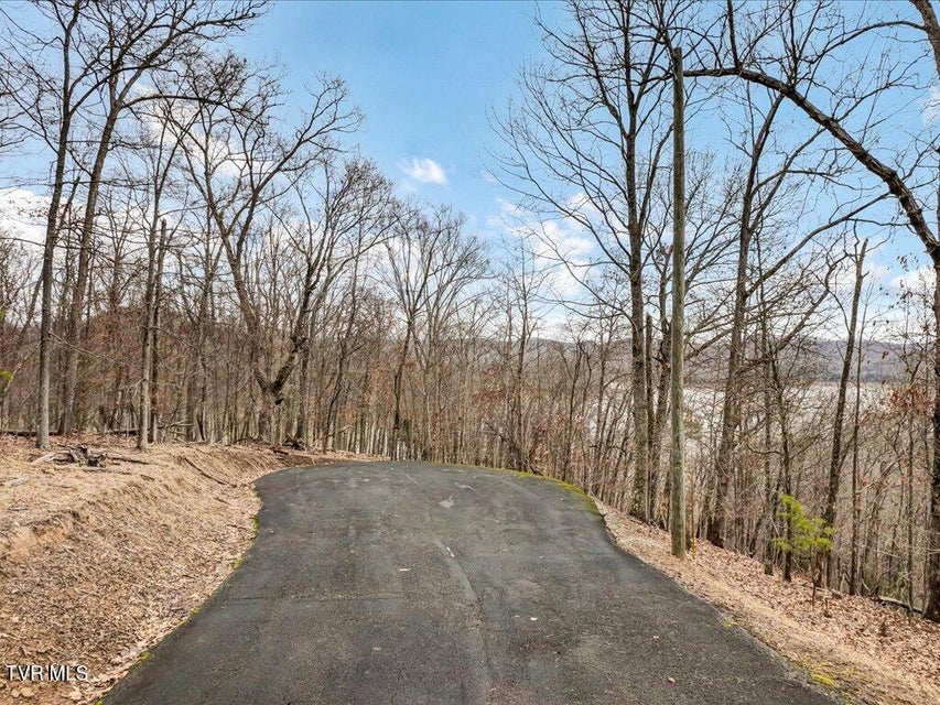 Photo #6: 1204 Waterview Lane