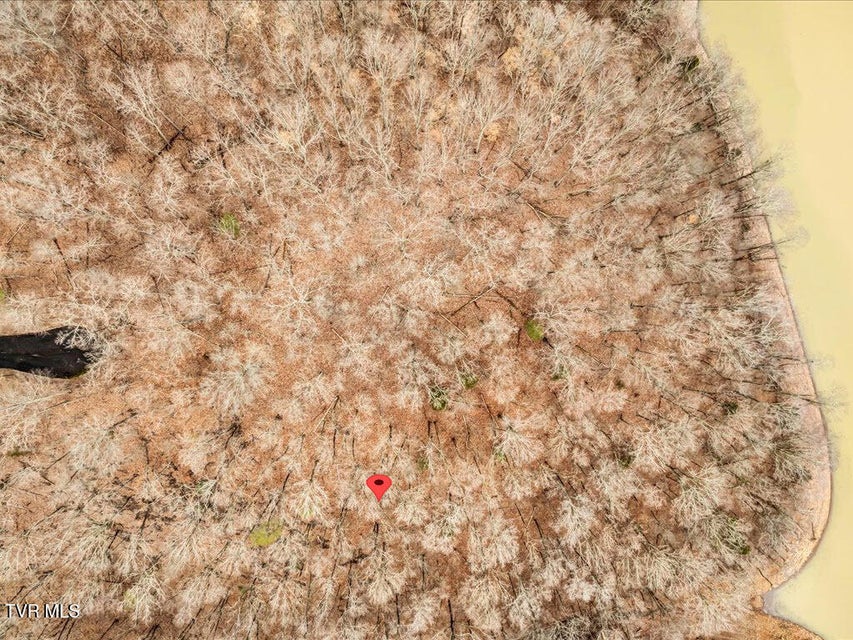 Photo #17: 1204 Waterview Lane