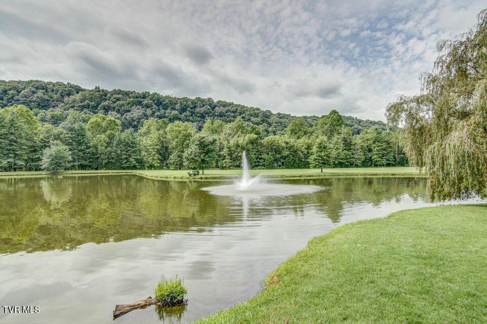 Photo #58: 120 Columbine Road