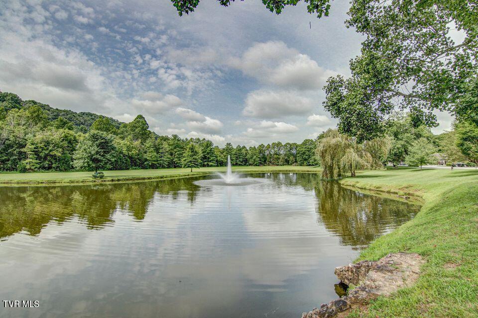 Photo #59: 120 Columbine Road