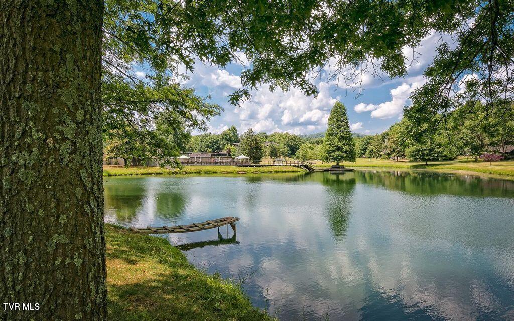 Photo #64: 120 Columbine Road