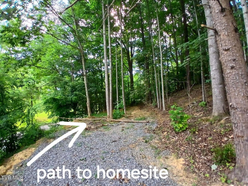 Photo #11: 1021 Marbleton Road