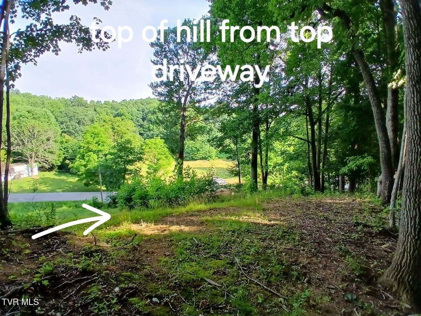 Photo #6: 1021 Marbleton Road