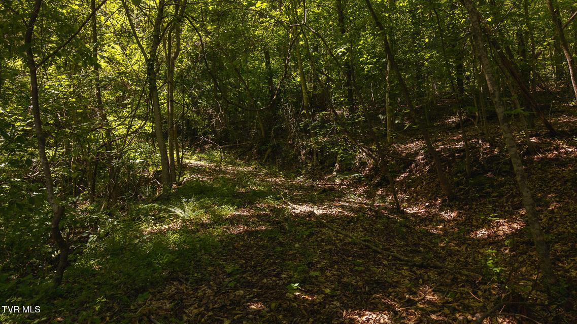 Photo #17: Lot 187 Cottage Lane