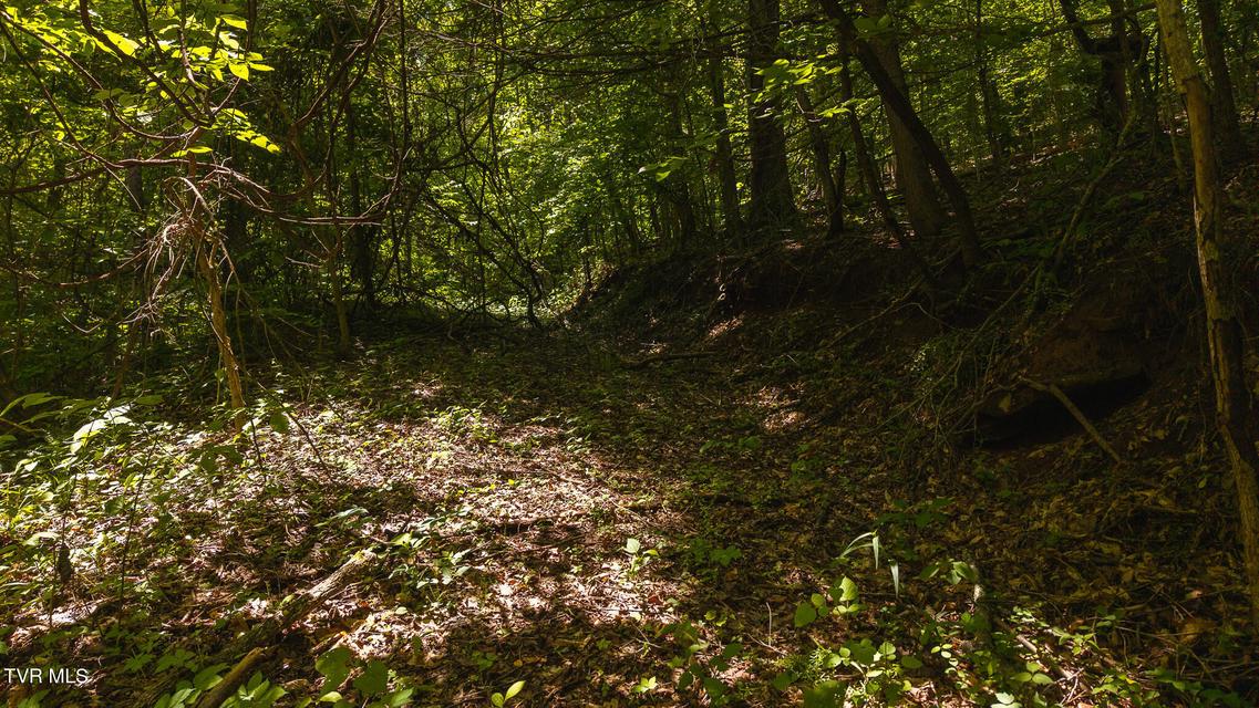 Photo #18: Lot 187 Cottage Lane