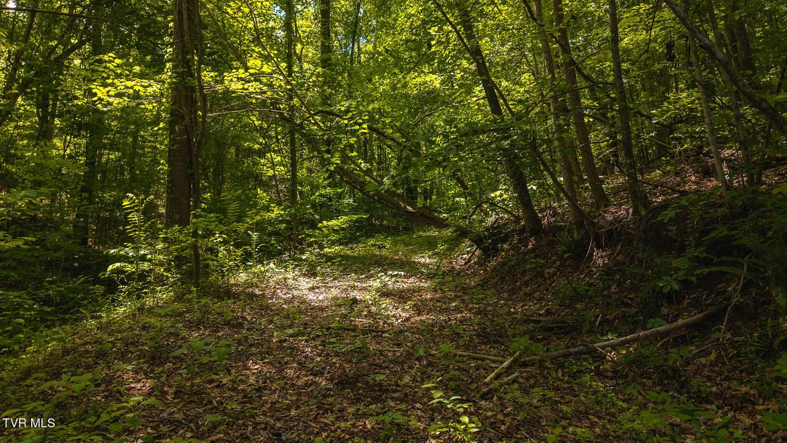 Photo #19: Lot 187 Cottage Lane