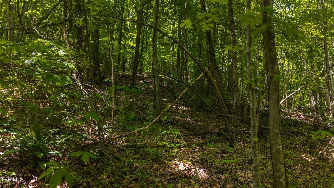 Photo #20: Lot 187 Cottage Lane