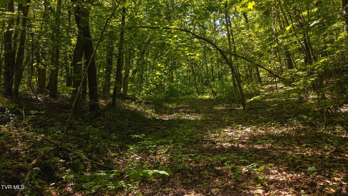 Photo #21: Lot 187 Cottage Lane