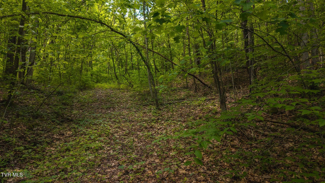 Photo #22: Lot 187 Cottage Lane