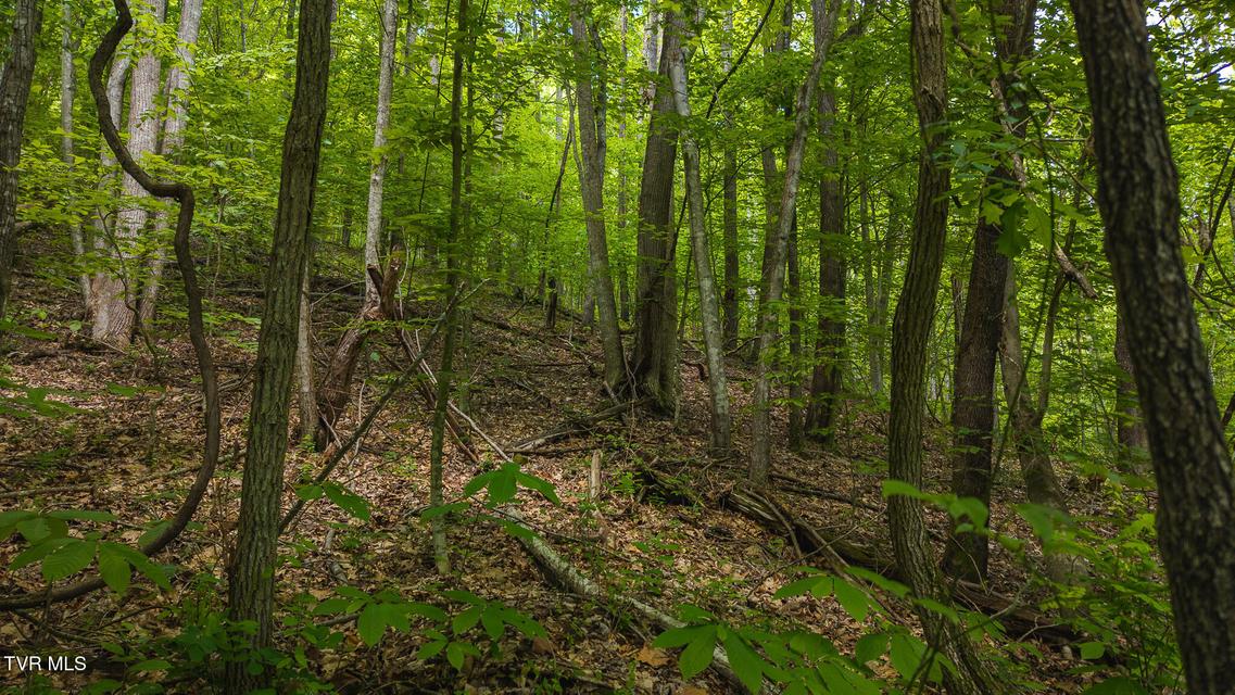 Photo #23: Lot 187 Cottage Lane