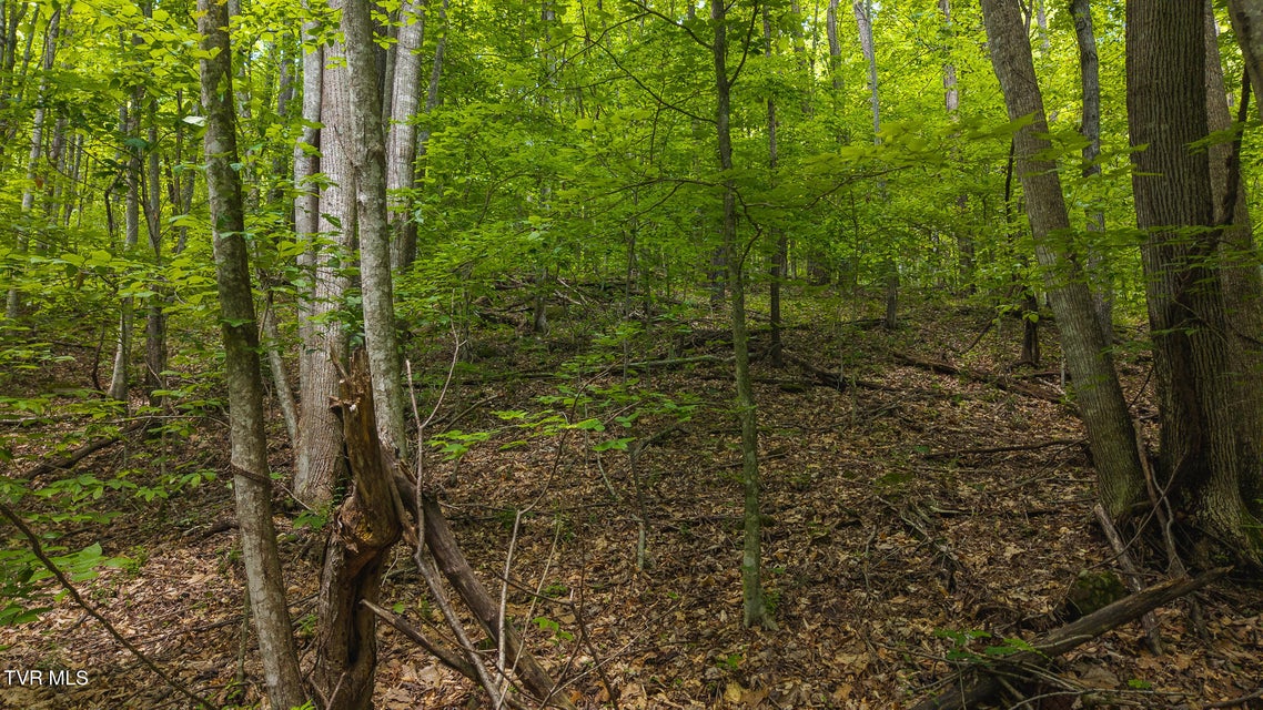 Photo #24: Lot 187 Cottage Lane