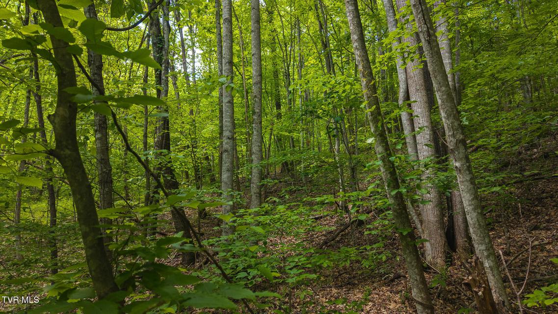 Photo #25: Lot 187 Cottage Lane