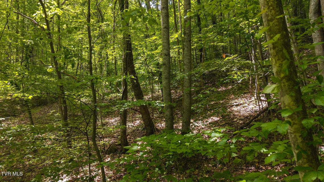 Photo #26: Lot 187 Cottage Lane