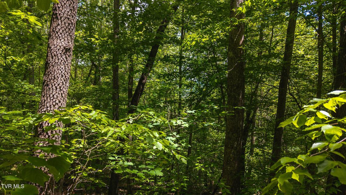 Photo #27: Lot 187 Cottage Lane