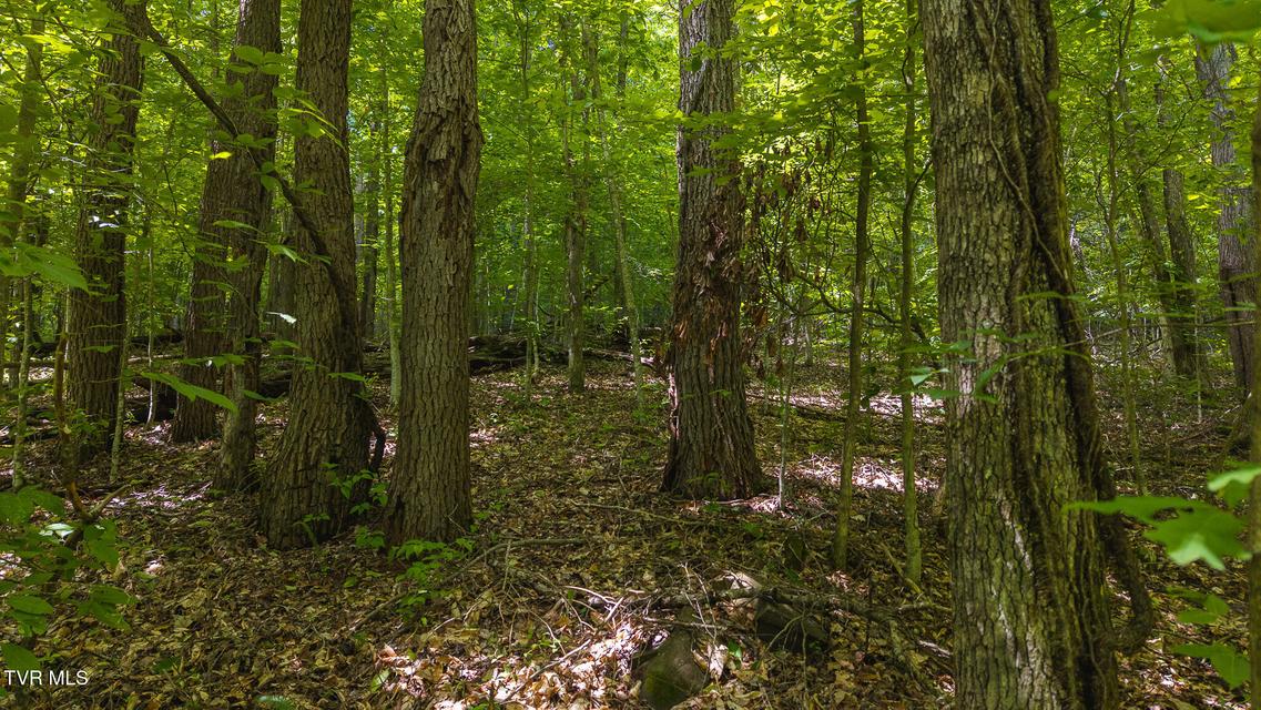 Photo #28: Lot 187 Cottage Lane