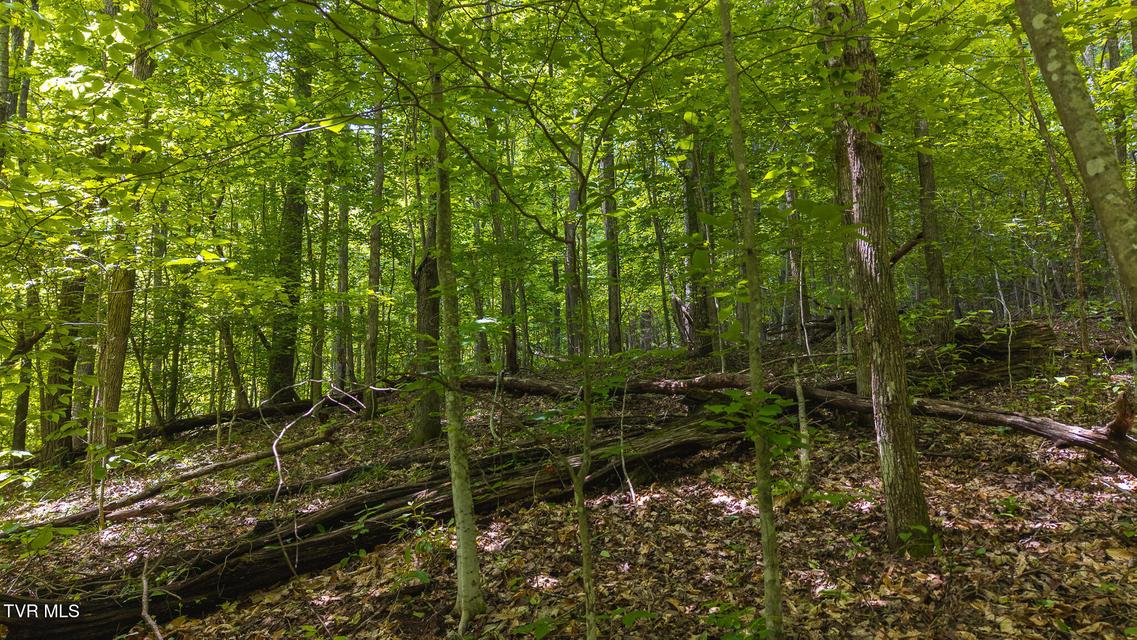 Photo #2: Lot 187 Cottage Lane