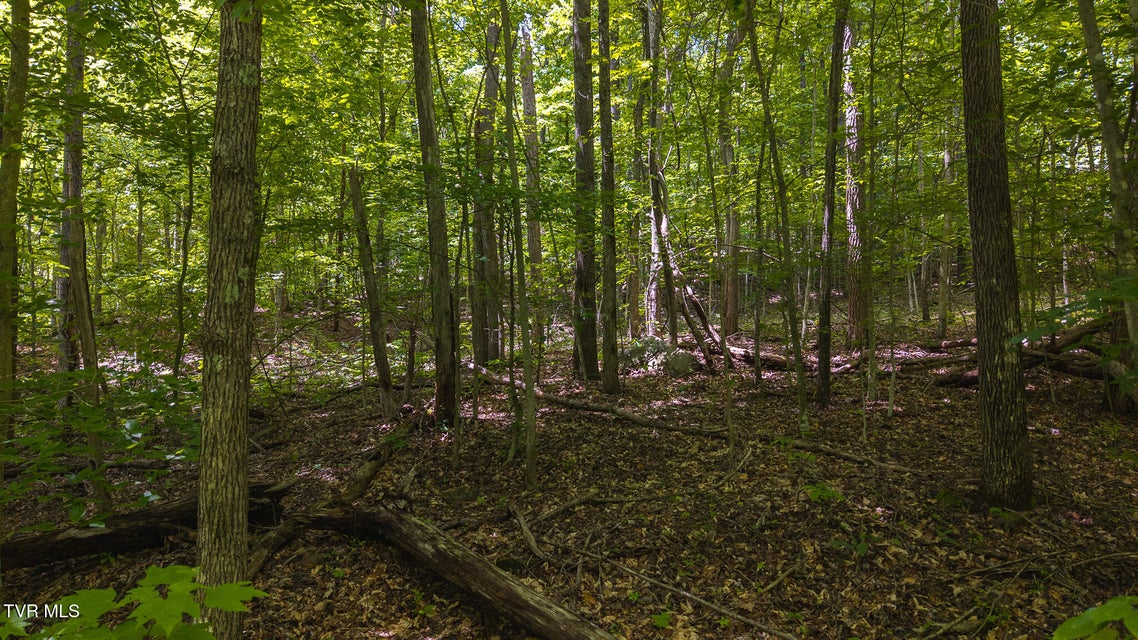 Photo #29: Lot 187 Cottage Lane