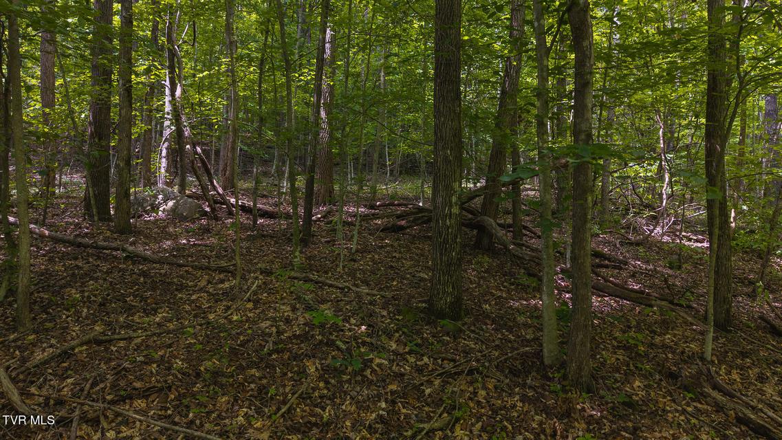 Photo #31: Lot 187 Cottage Lane