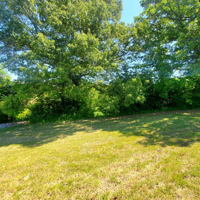 Photo #13: Lot 110 Tumbleweed Trail