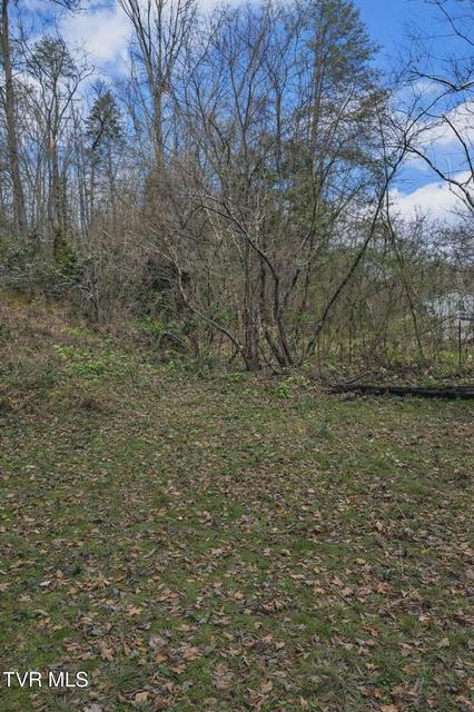 Photo #4: 000 Byrd Creek