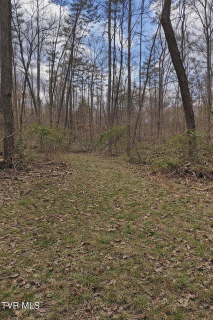 Photo #3: 000 Byrd Creek